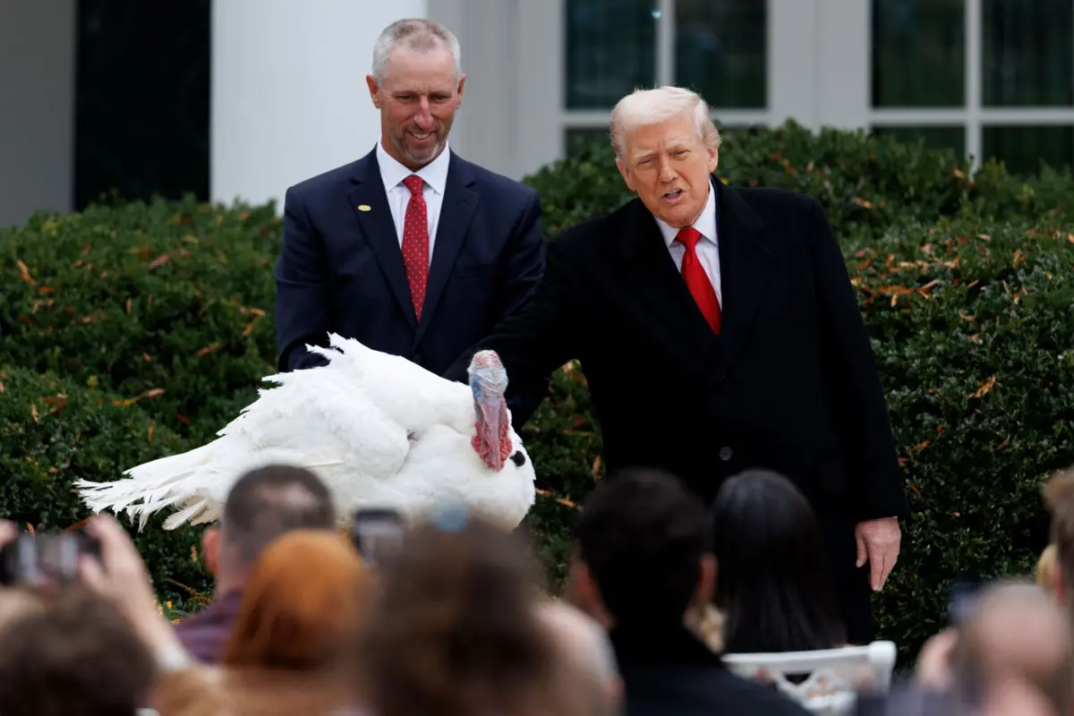 Trump salvou as aves Gobble e Waddle, nascidas em julho numa quinta da Carolina do Norte