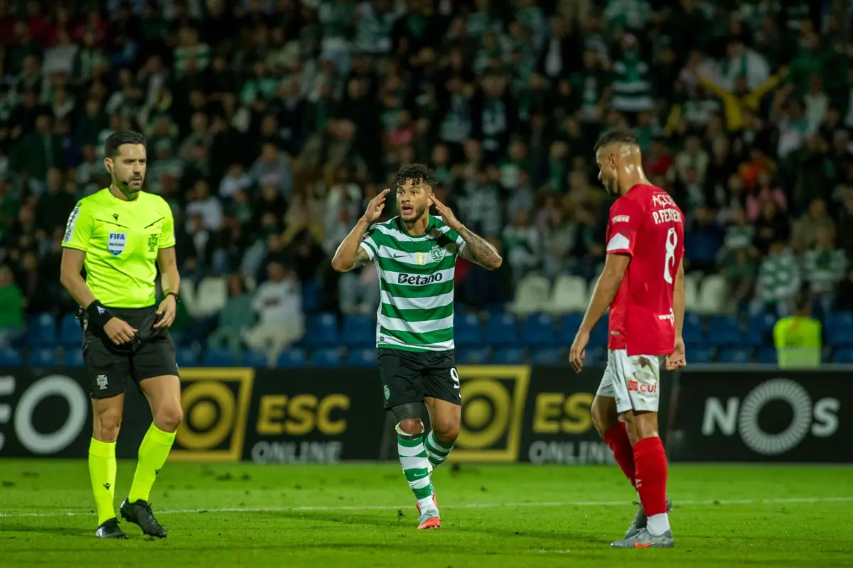 João Gonçalves afastado por erro crasso