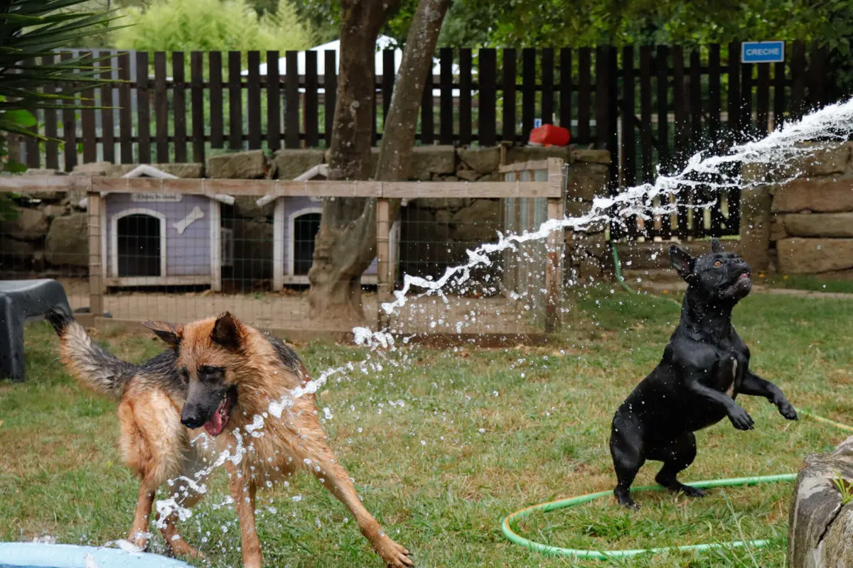 Lei entrou em vigor a 1 de outubro de 2014 e punição pode ir até um ano de prisão
