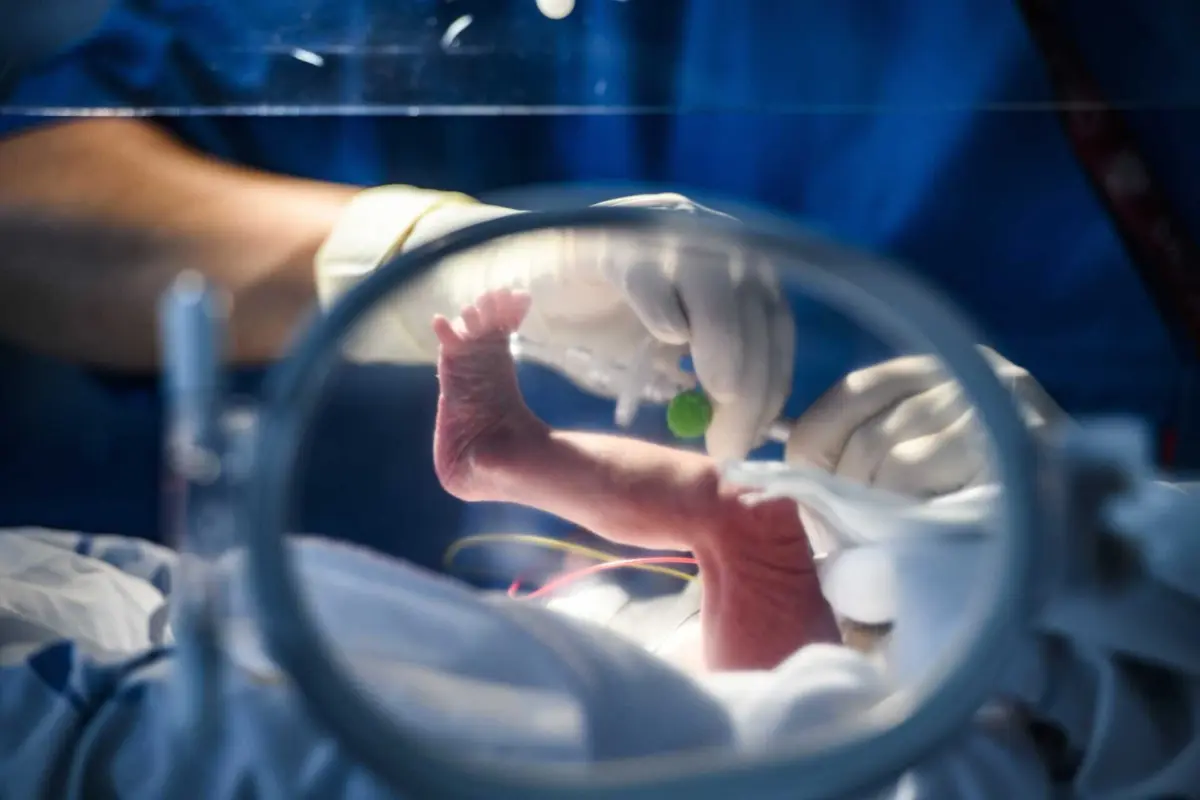 Este ano já nasceram mais de 71 mil bebés