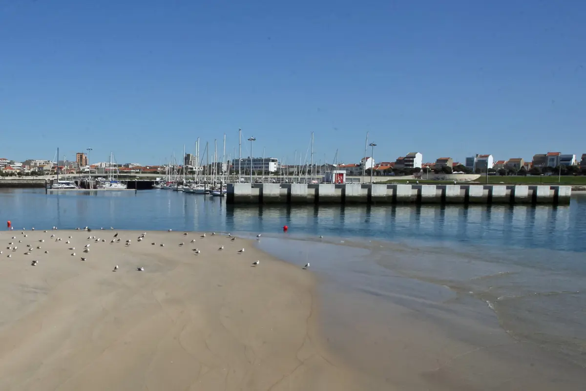 Pescadores estão preocupados e dizem que, na Póvoa, o porto precisa de uma “dragagem de fundo”