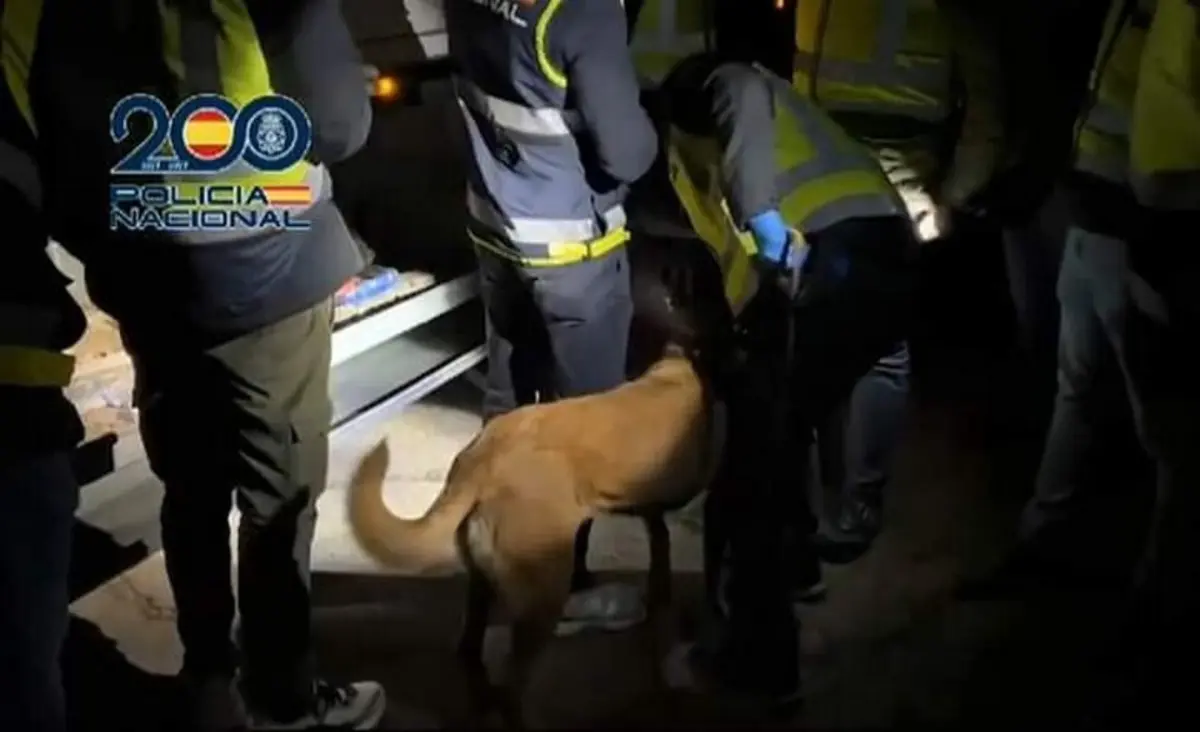 O motorista, com cerca de 40 anos, negou a participação no esquema de tráfico