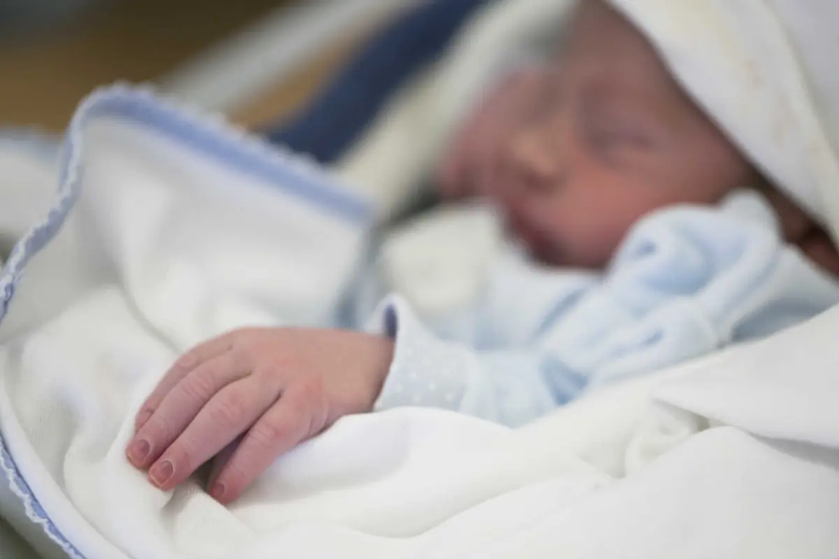 A inovação passa por "prever o tipo de parto também utilizando os dados de imagem ecográfica"