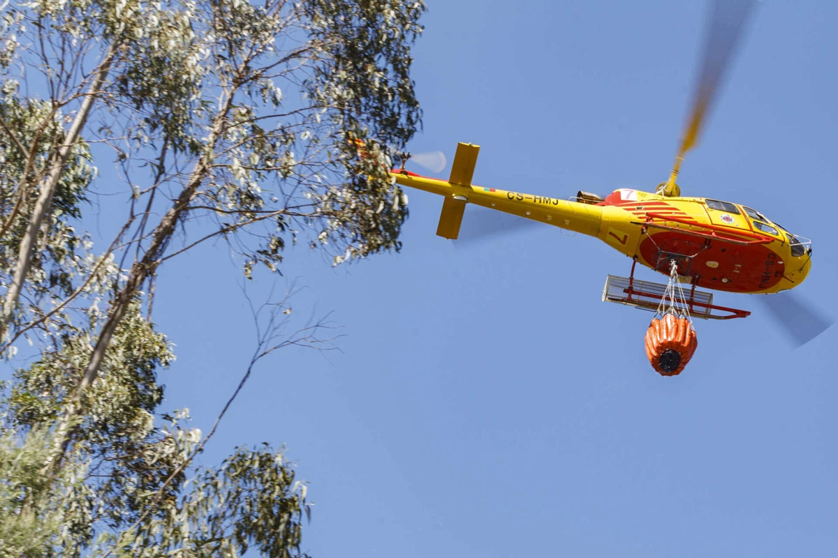 Fase crítica dos incêndios começa dia 1 de julho.