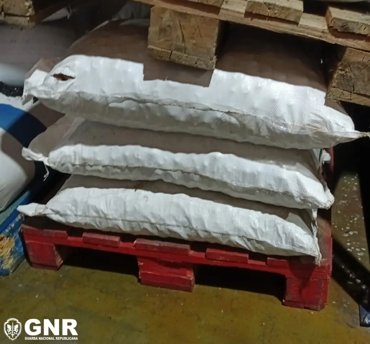 GNR apreendeu noz de areca