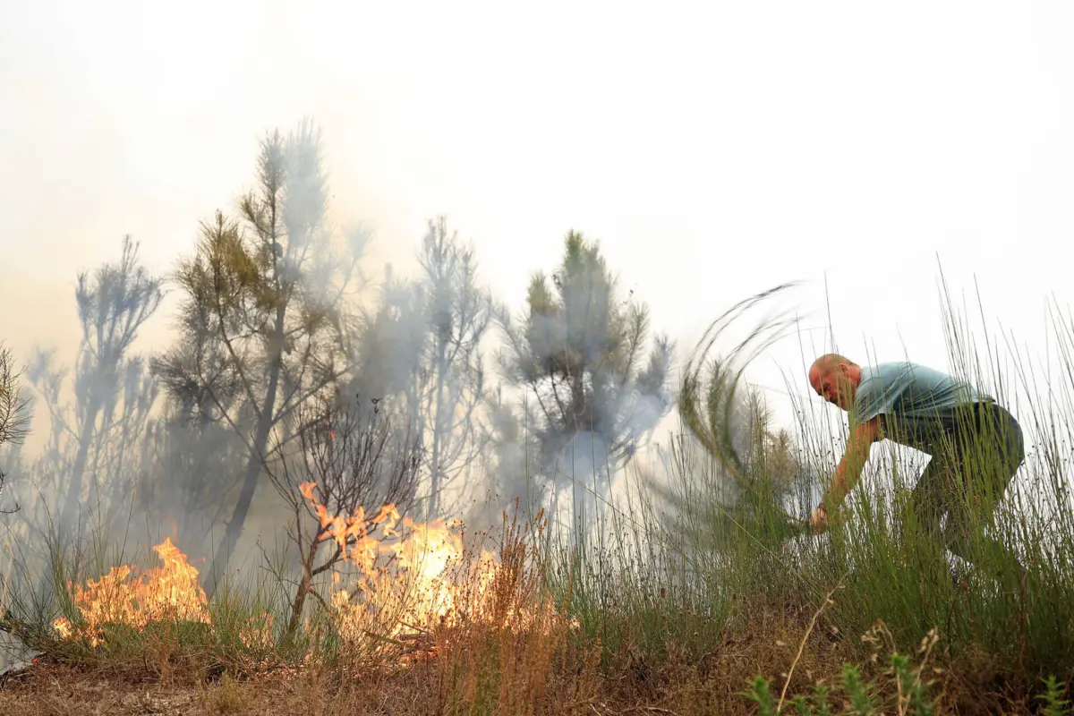 A área ardida em Portugal continental desde domingo ultrapassa os 121 mil hectares