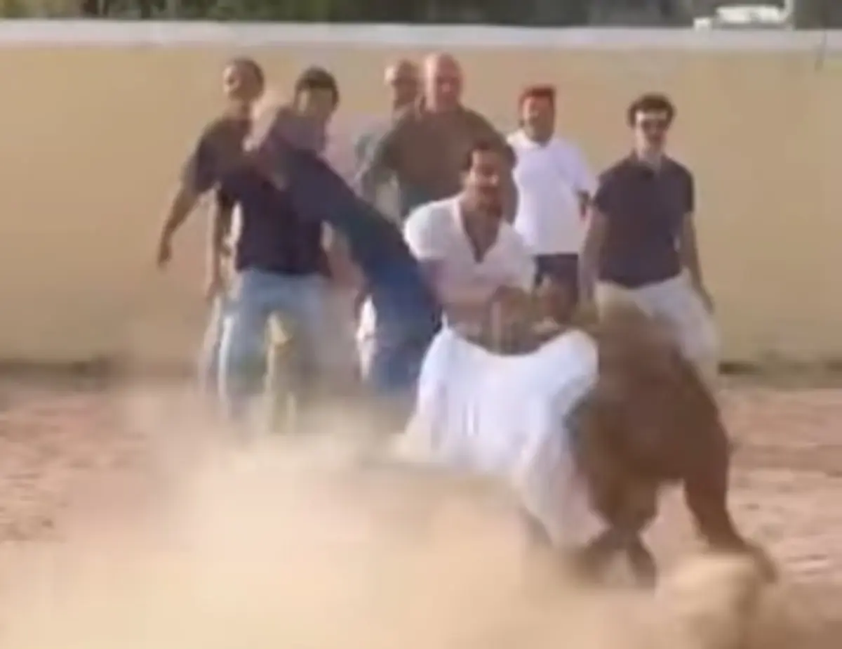 Imagem de contexto do artigo Paulo Núncio colhido por bezerro "em tarde bem passada" na garraiada do CDS