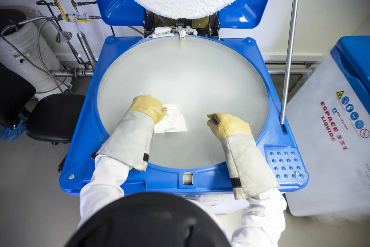 Imagem de contexto do artigo Opção de congelar óvulos aumenta e até traz mulheres do estrangeiro