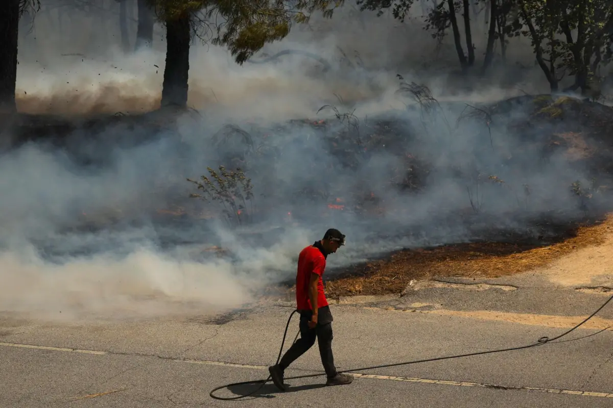 Até 21 de agosto arderam 234 mil hectares no país