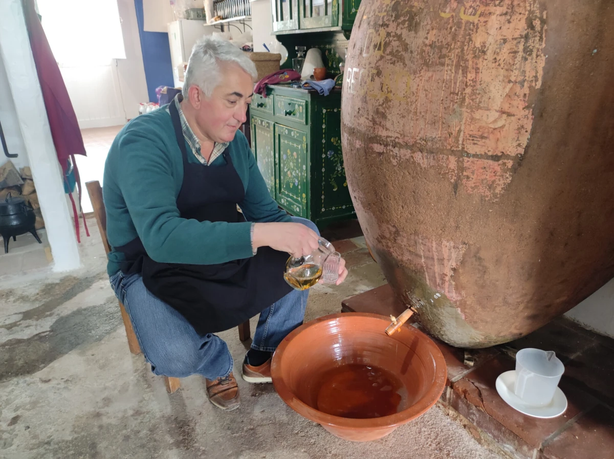 Imagem de contexto do artigo Já corre vinho novo nas talhas gigantes de Vila de Frades