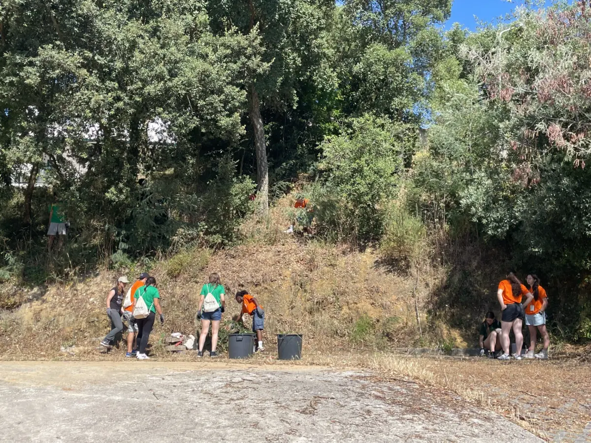 Estudantes do secundário estão a participar em atividades da Escola de Verão