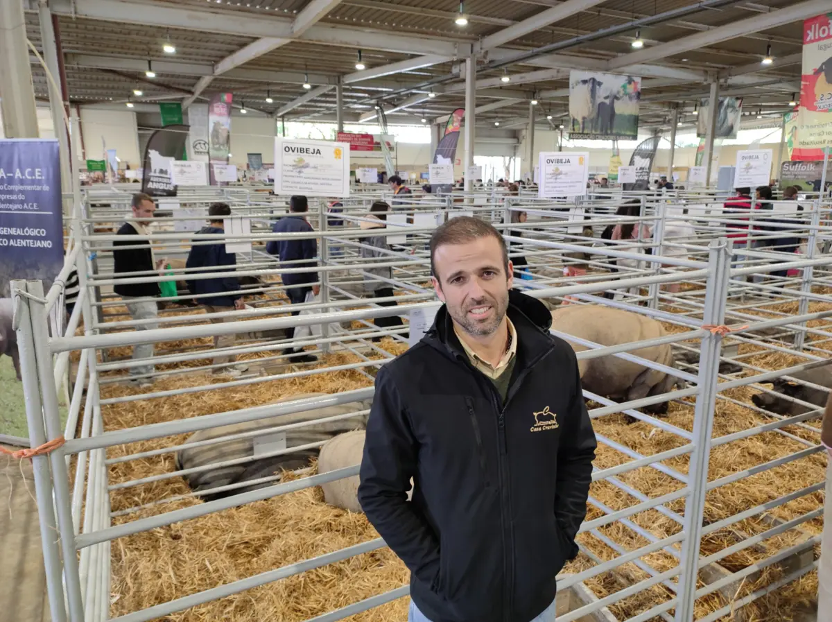 Nuno diz ter a "respnsabilidade de criar uma das mais puras raças de suínos que existe em Portugal”