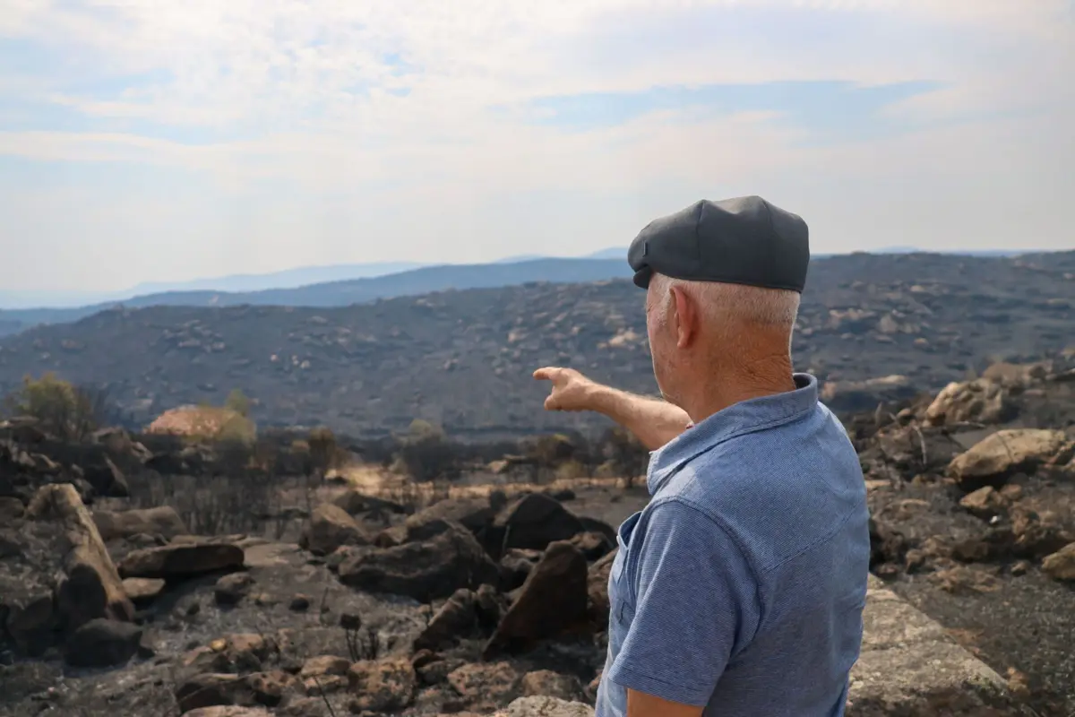O incêndio que deflagrou na freguesia de Poiares, na passada sexta-feira, acabou por se estender a outras localidades
