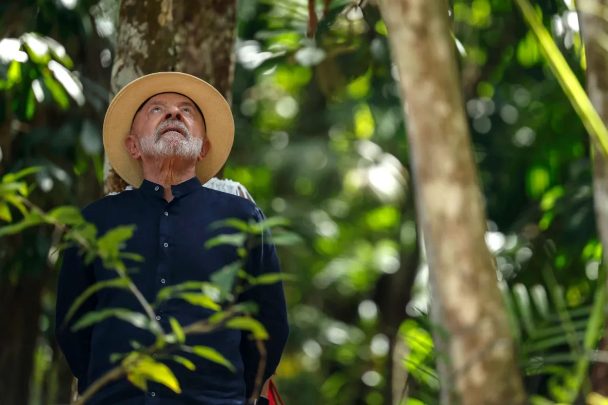 A Amazónia brasileira perdeu 52 milhões de hectares de vegetação nativa entre 1985 e 2024