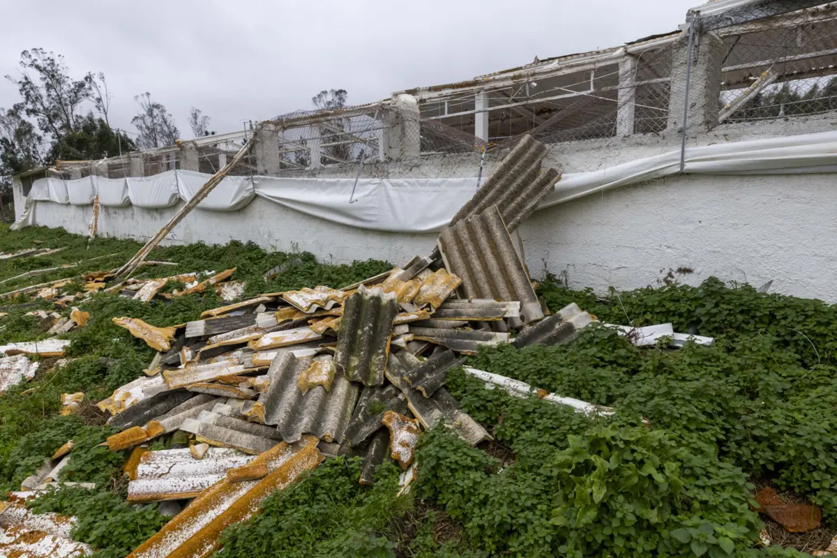 Comboio de tempestades provocou vários estragos em Leiria