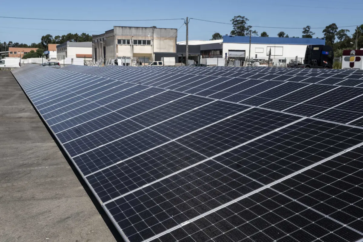 Energia renovável abasteceu 88% do consumo de eletricidade em fevereiro