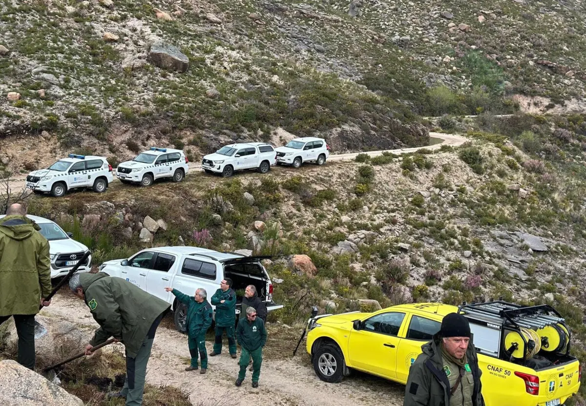 Imagem de contexto do artigo Plantados mil pinheiros silvestres no lado da Galiza do Gerês