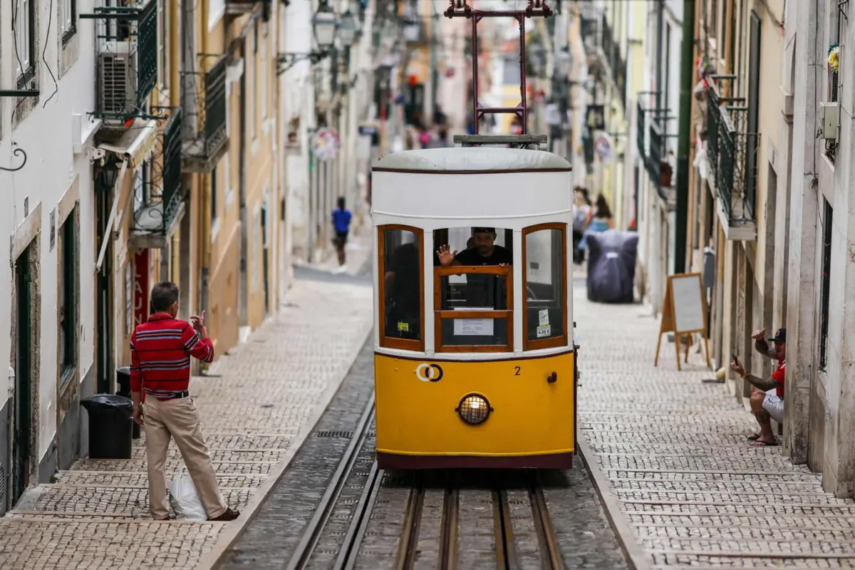 Carris será liderada pelo atual administrador dos Transportes Metropolitanos de Lisboa, Rui Lopo.