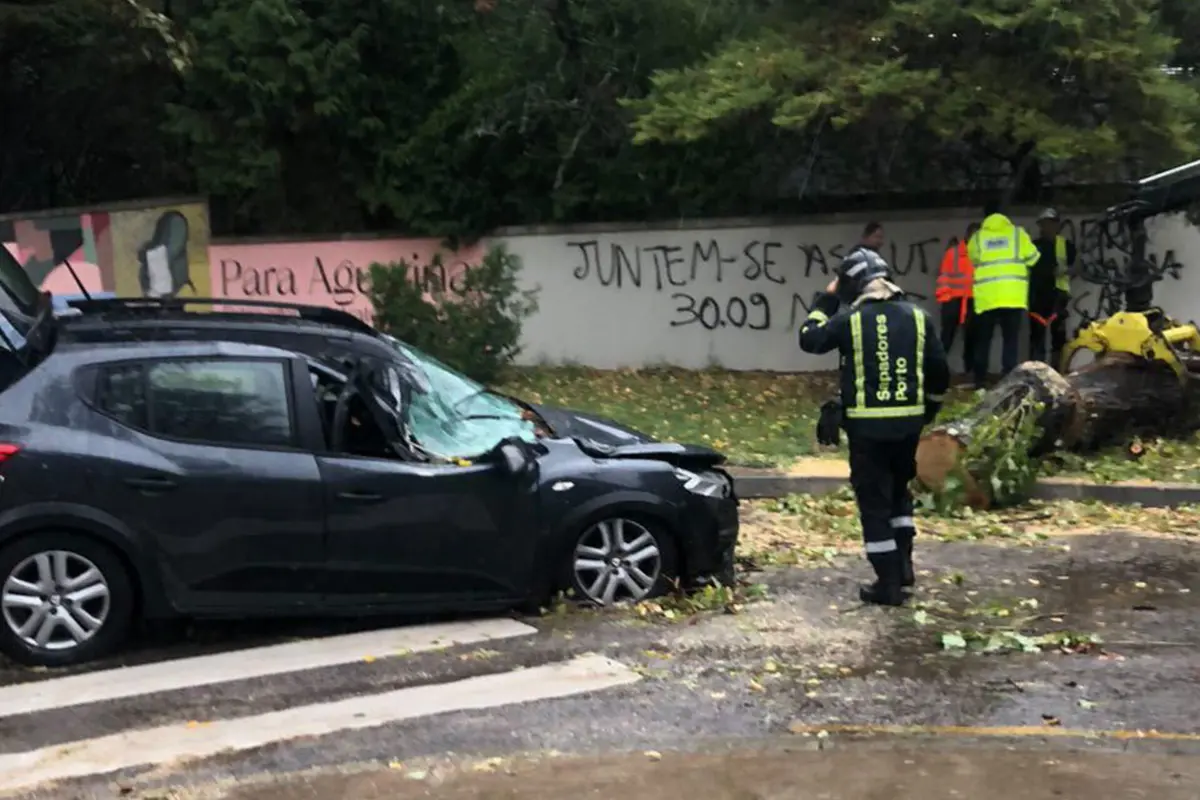 Carro entrava na Faculdade de Letras quando foi atingido