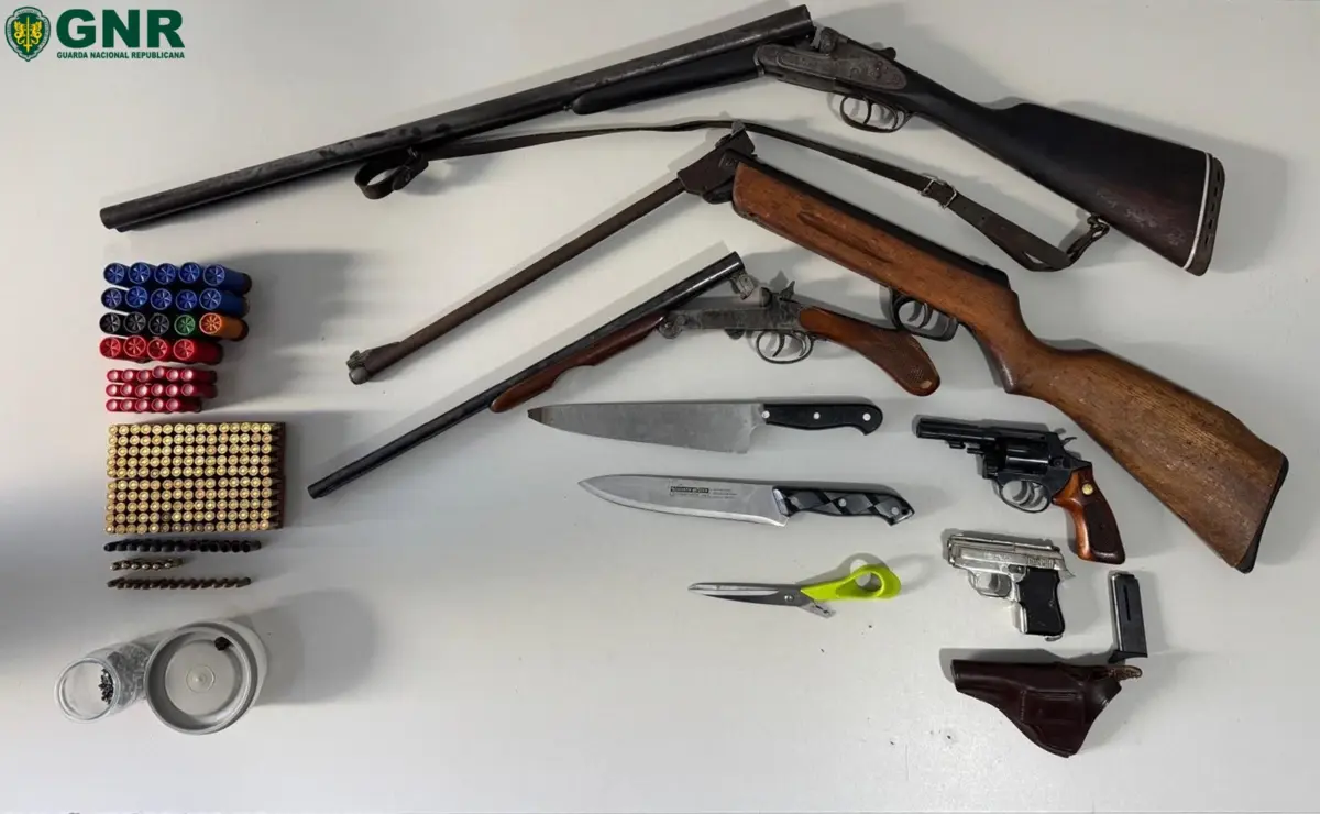 Armas apreendidas a suspeito de matar cavalo a tiro