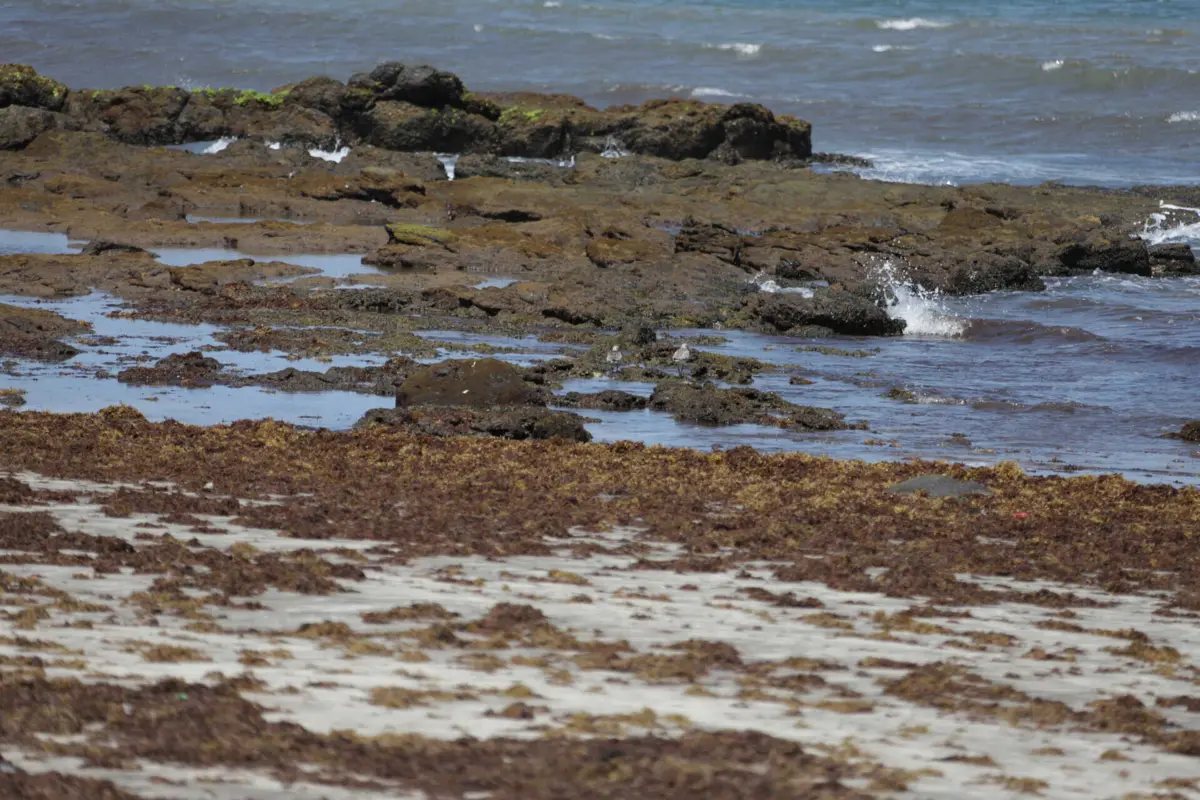 Imagem de contexto do artigo Barco que deu à costa em Cabo Verde com cinco sobreviventes tinha 65 ocupantes