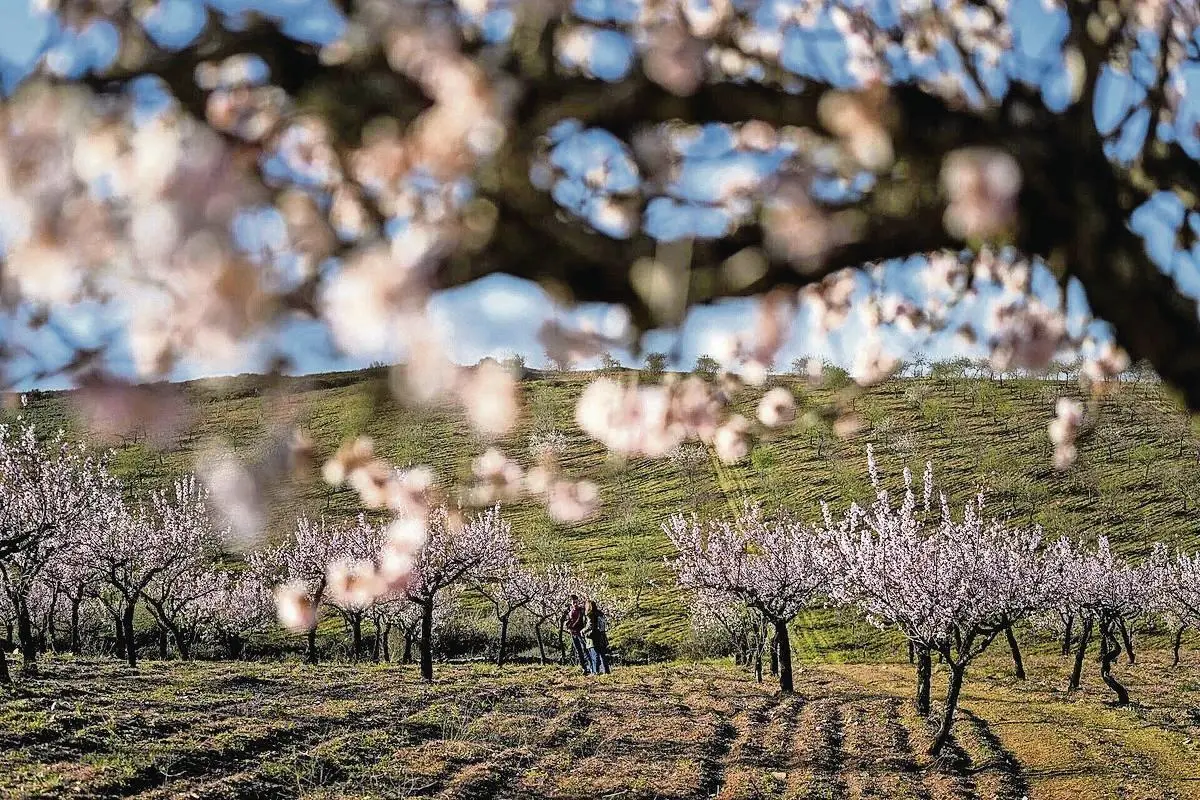A sentença é passível de recurso para o Tribunal da Relação de Évora