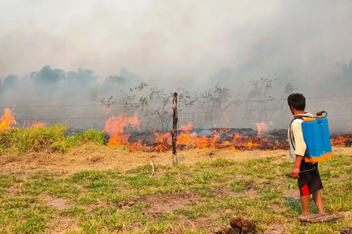 Além das altas temperaturas, há incêndios descontrolados a assolar o país