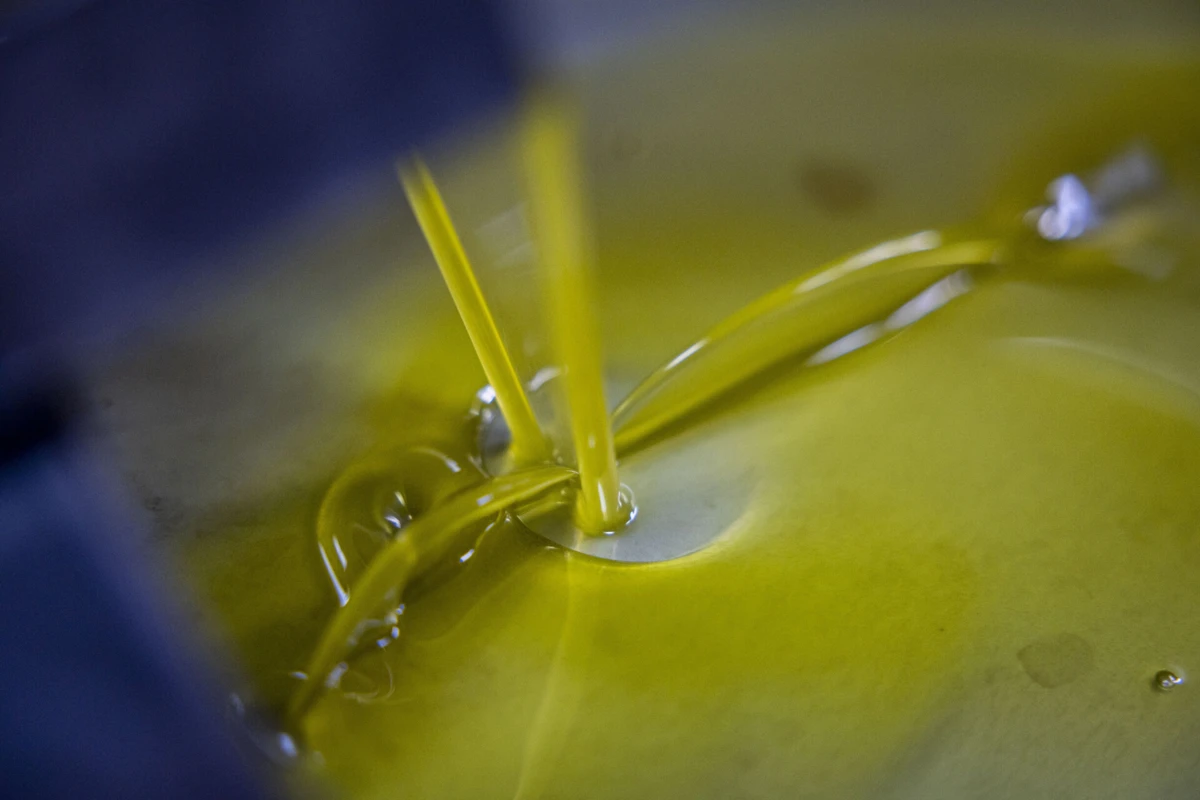 Produção de azeite passa de 23% para a taxa reduzida de IVA de 6%