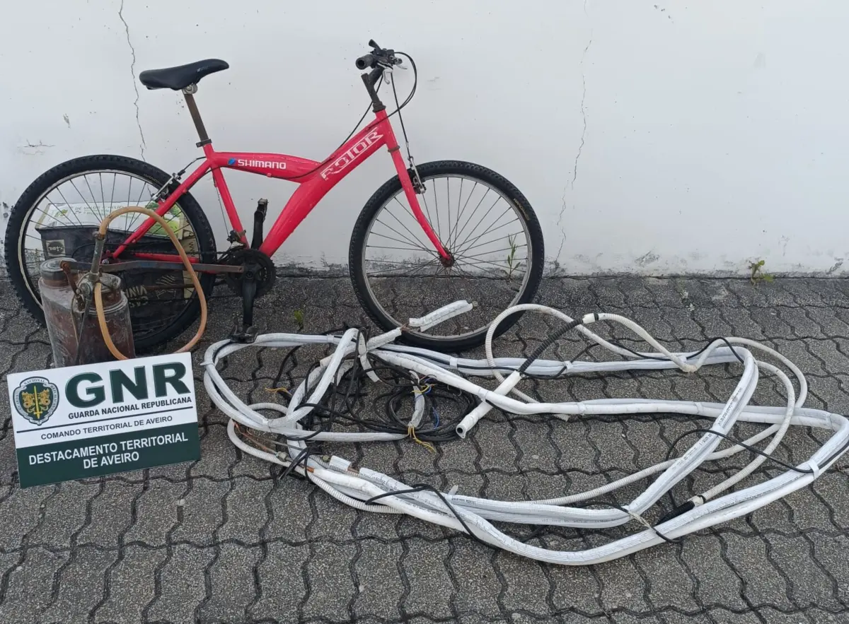 GNR conseguiu recuperar os artigos furtados, em Ílhavo