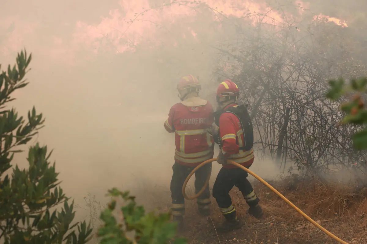 Imagem de contexto do artigo Homem detido por atear incêndio florestal em Montalegre