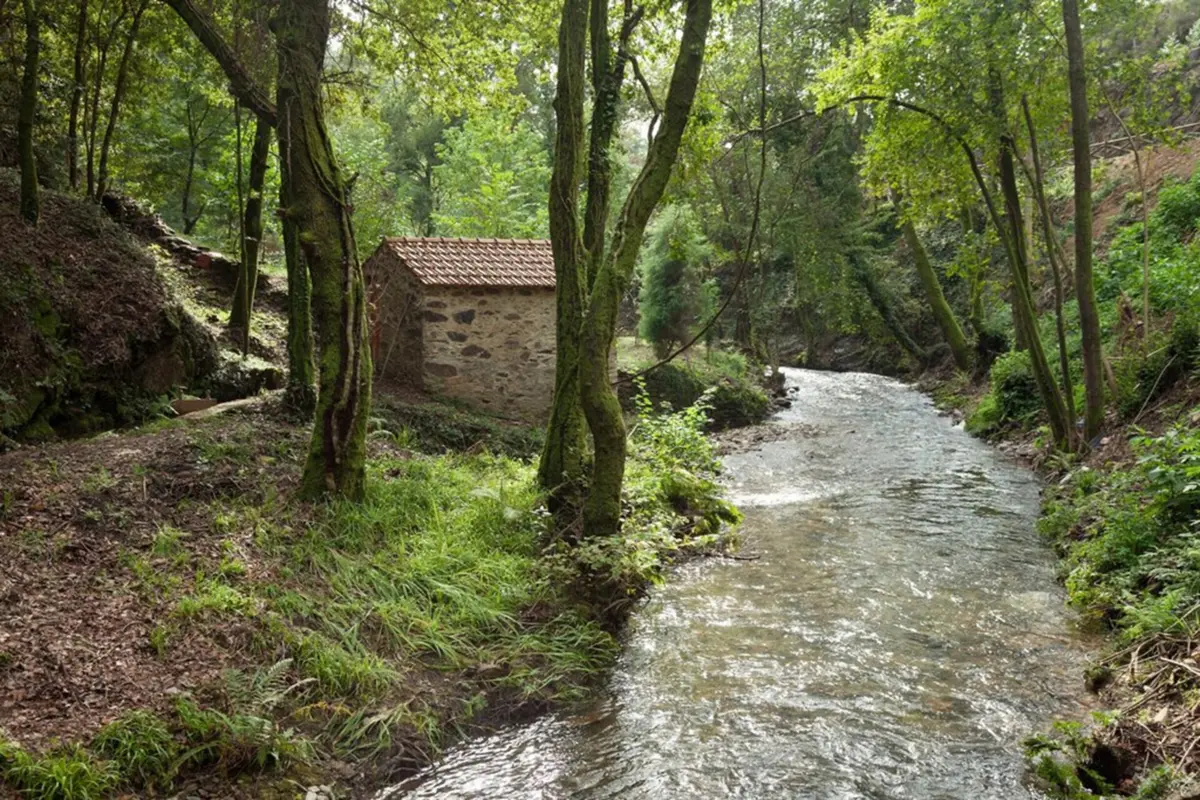 Há mais de 25 moinhos para visitar.