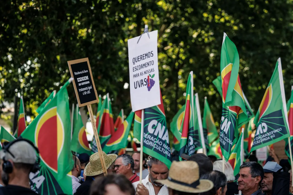 Viticultores do Douro manifestaram-se no Peso da Régua