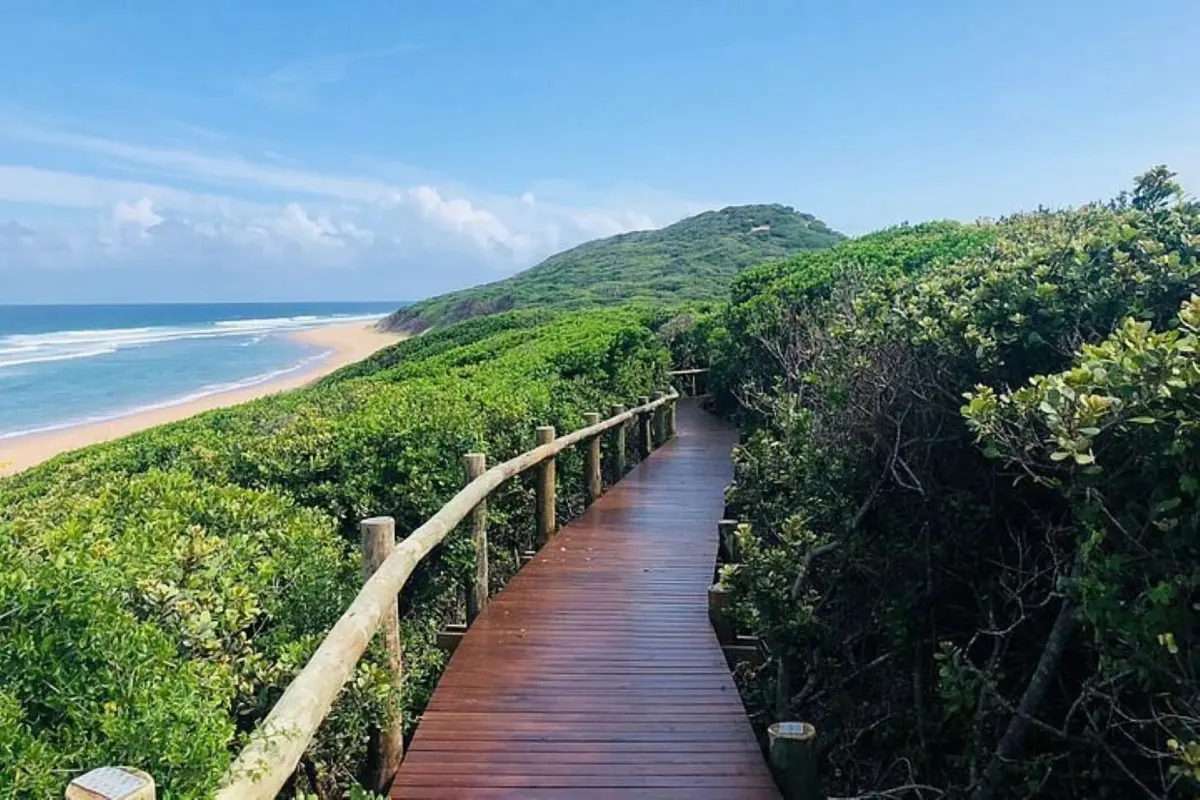 Parque Nacional de Maputo é Património Mundial da Humanidade desde julho passado