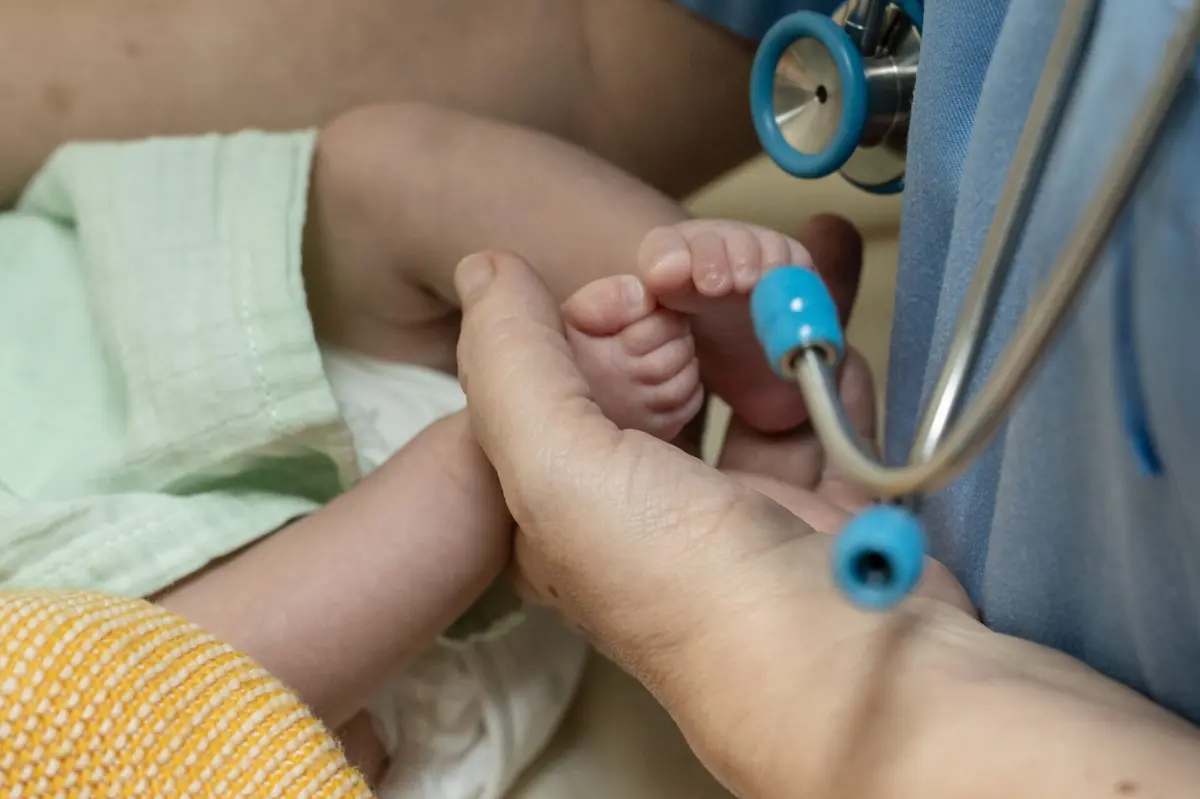 Programa Cuidados Neonatais em Casa resulta de parceria entre autarquia e ULS Entre Douro e Vouga