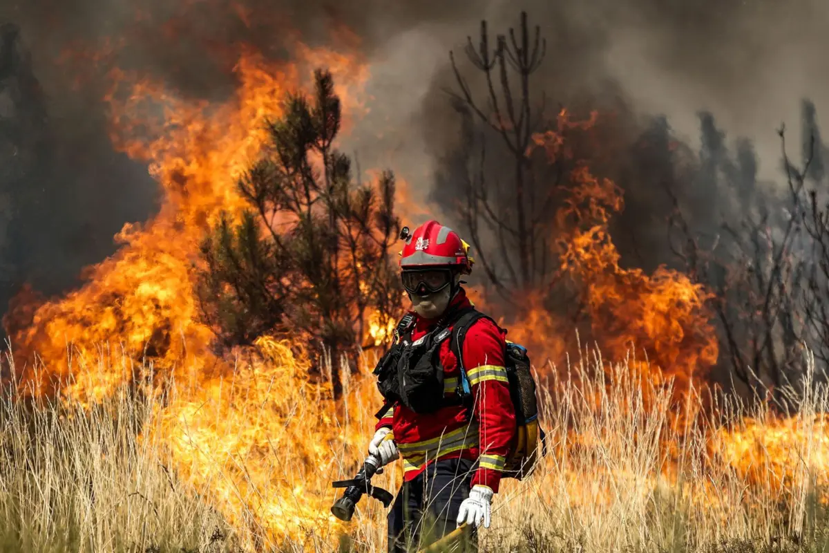 Os incêndios puseram em risco uma vasta área florestal, habitações próximas, bens patrimoniais e o ambiente