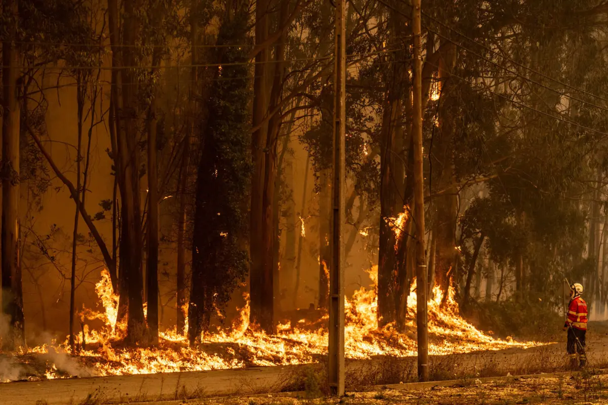 O detido vai ser apresentado às autoridades judiciárias para aplicação das medidas de coação