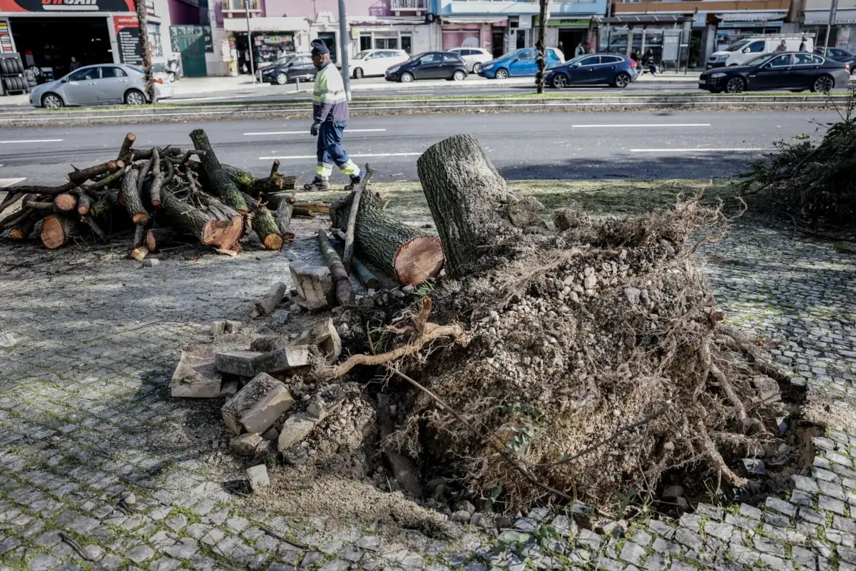 Depressão Martinho atingiu Portugal entre os dias 19 e 21 de março