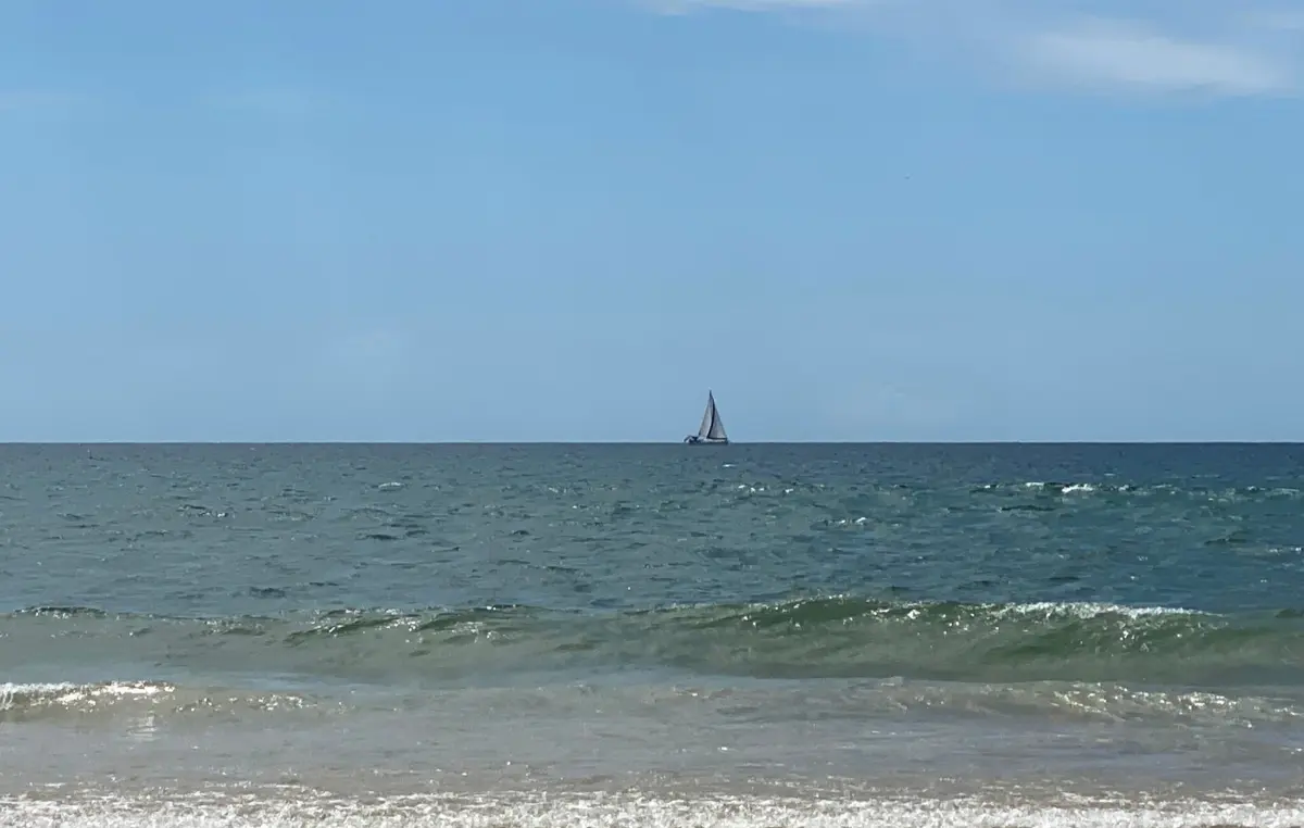 PJ anunciou a apreensão