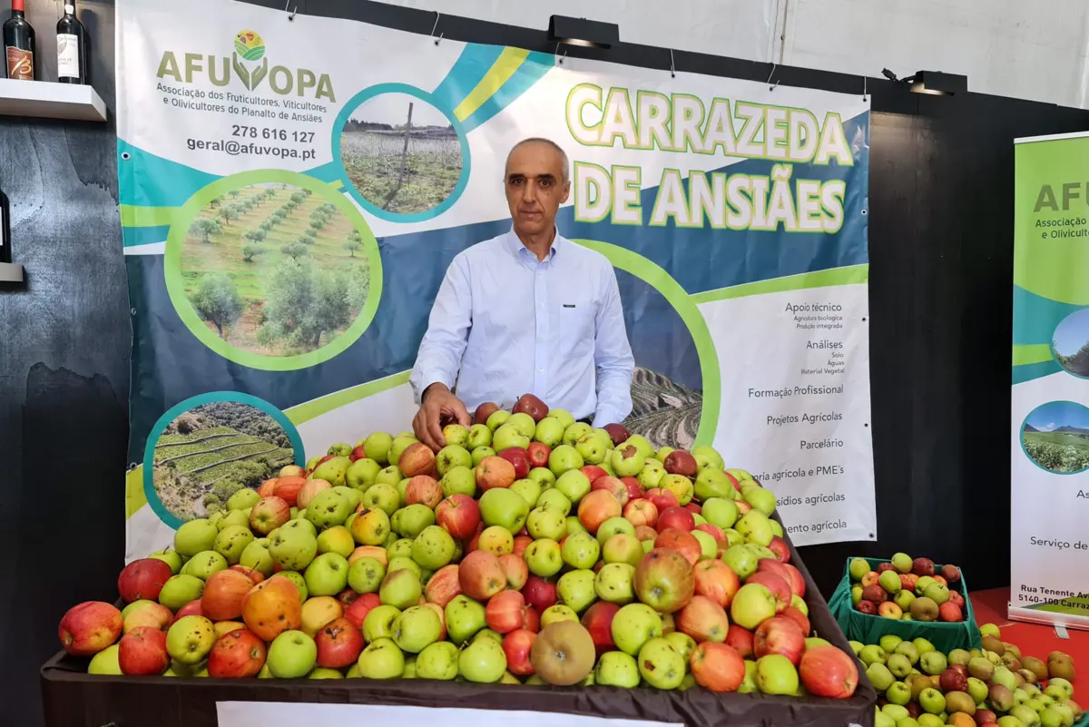 Luís Vila Real mostrou alguma da fruta danificada na Feira da Maçã, Vinho e Azeite