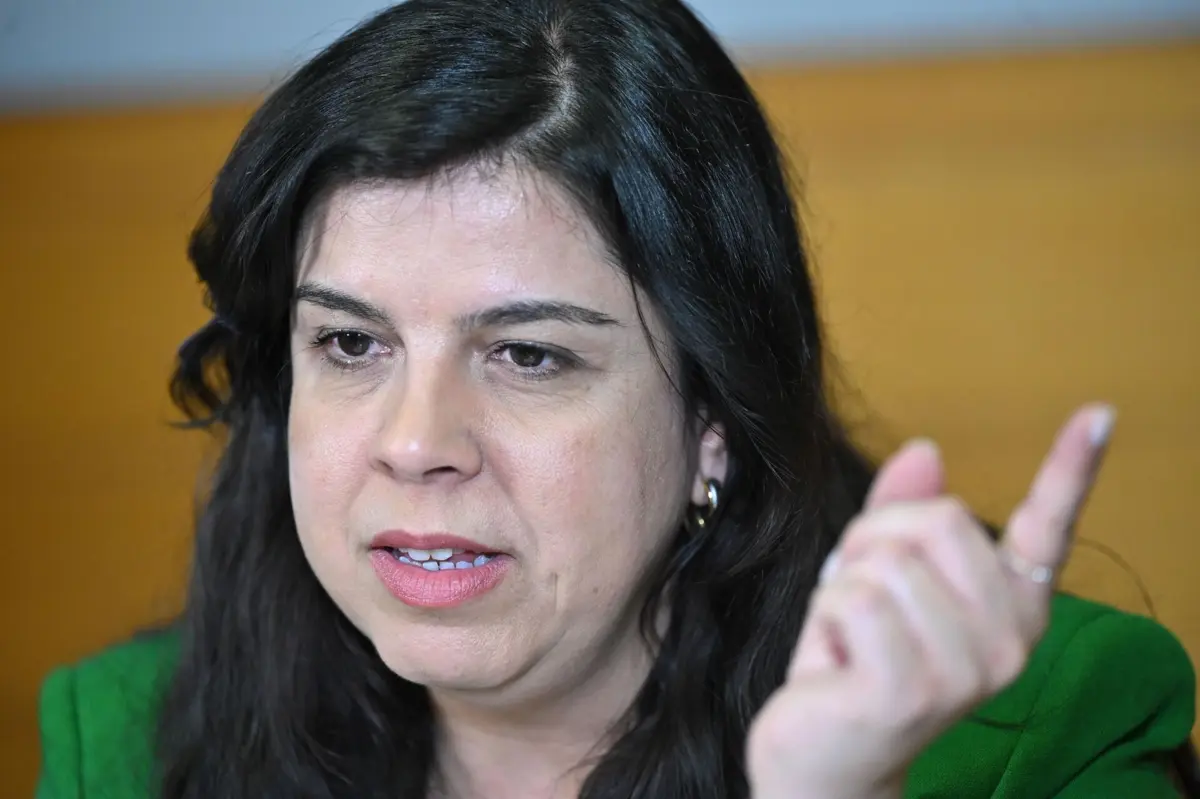 Porta-voz e deputada única do PAN, Inês de Sousa Real