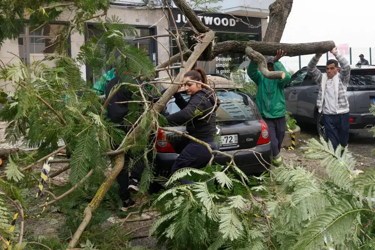APS já registou mais de 115 mil sinistros