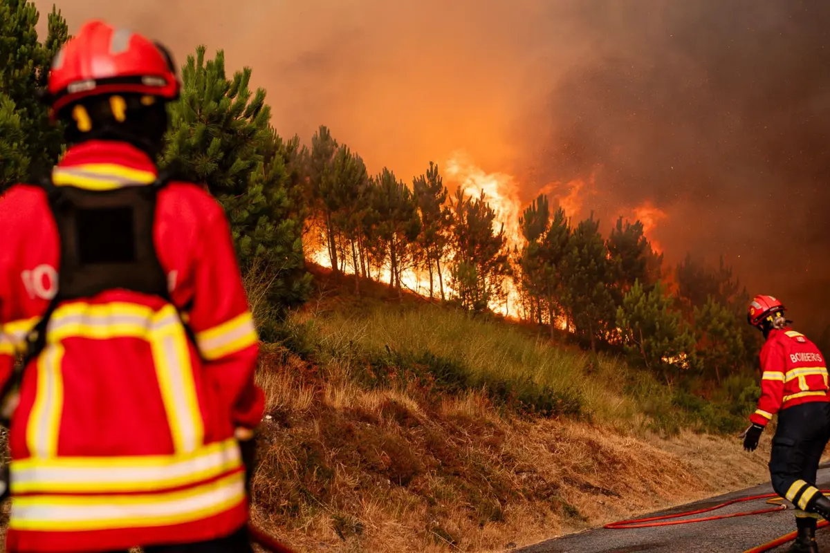 Imagem de contexto do artigo Menor de 14 anos confessou atear fogos de trotineta por causa das más notas