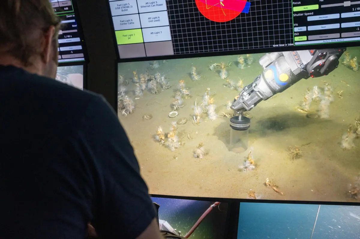 Imagem de contexto do artigo Cientistas resolvem mistério sobre origem da vida complexa na Terra