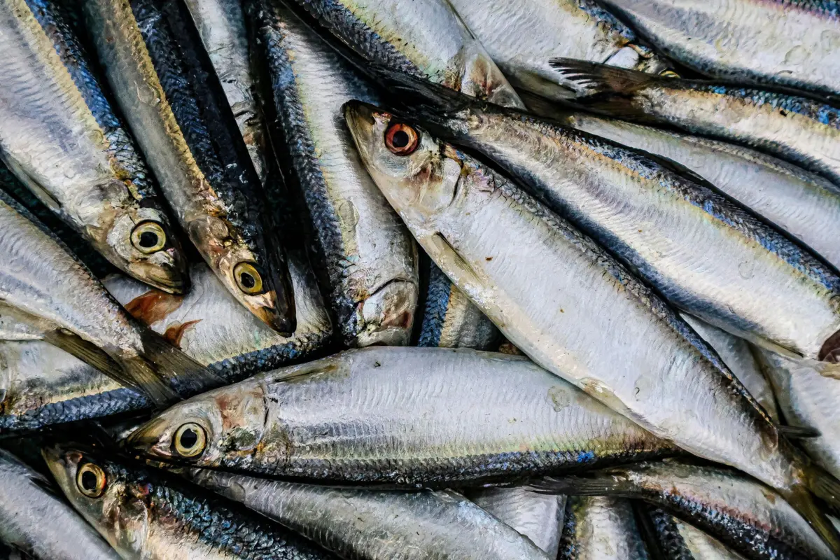 Imagem de contexto do artigo Crónica de Fernando Melo: Diz-me a quem compras, dir-te-ei como trabalhas