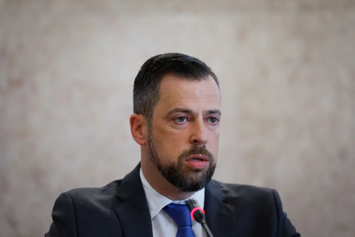 António Gandra d'Almeida é o diretor-executivo do SNS