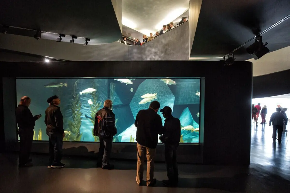 Projeto visa preservar epopeia do bacalhau