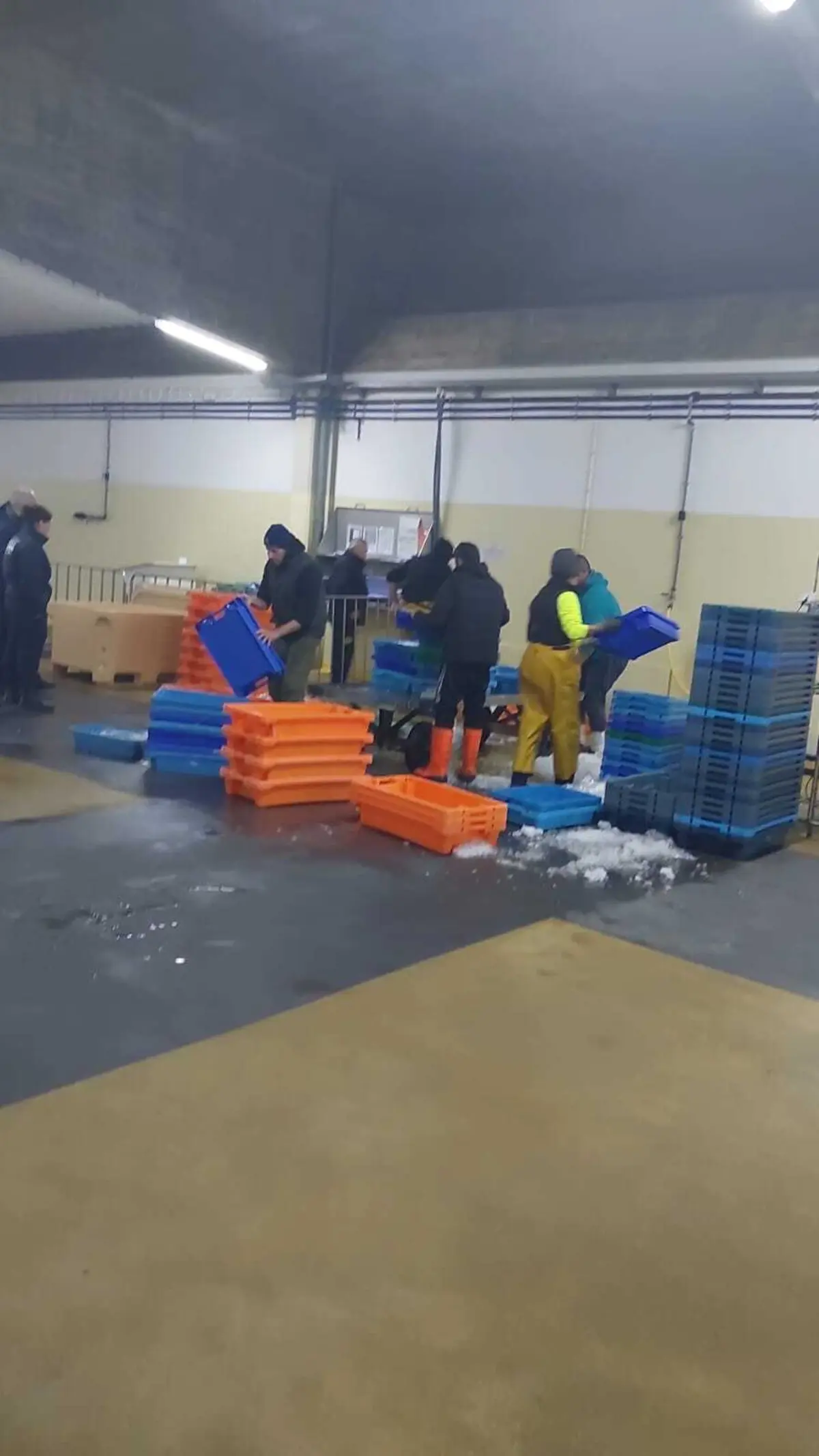 Imagem de contexto do artigo Polícia Marítima apreende cerca de 600 quilos de pescado em Portimão