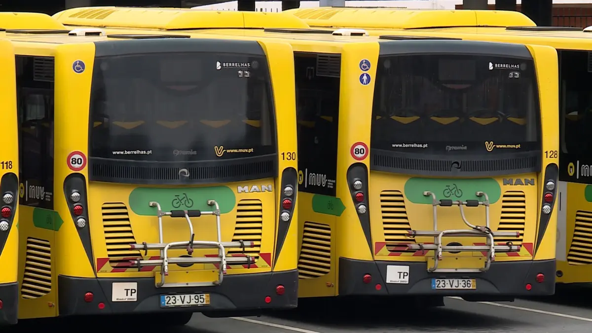 Serviço conta com 30 autocarros