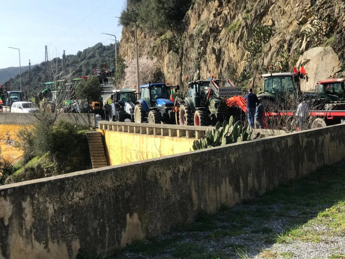 Imagem de contexto do artigo Agricultores transmontanos condicionam trânsito na fronteira de Bemposta em Mogadouro