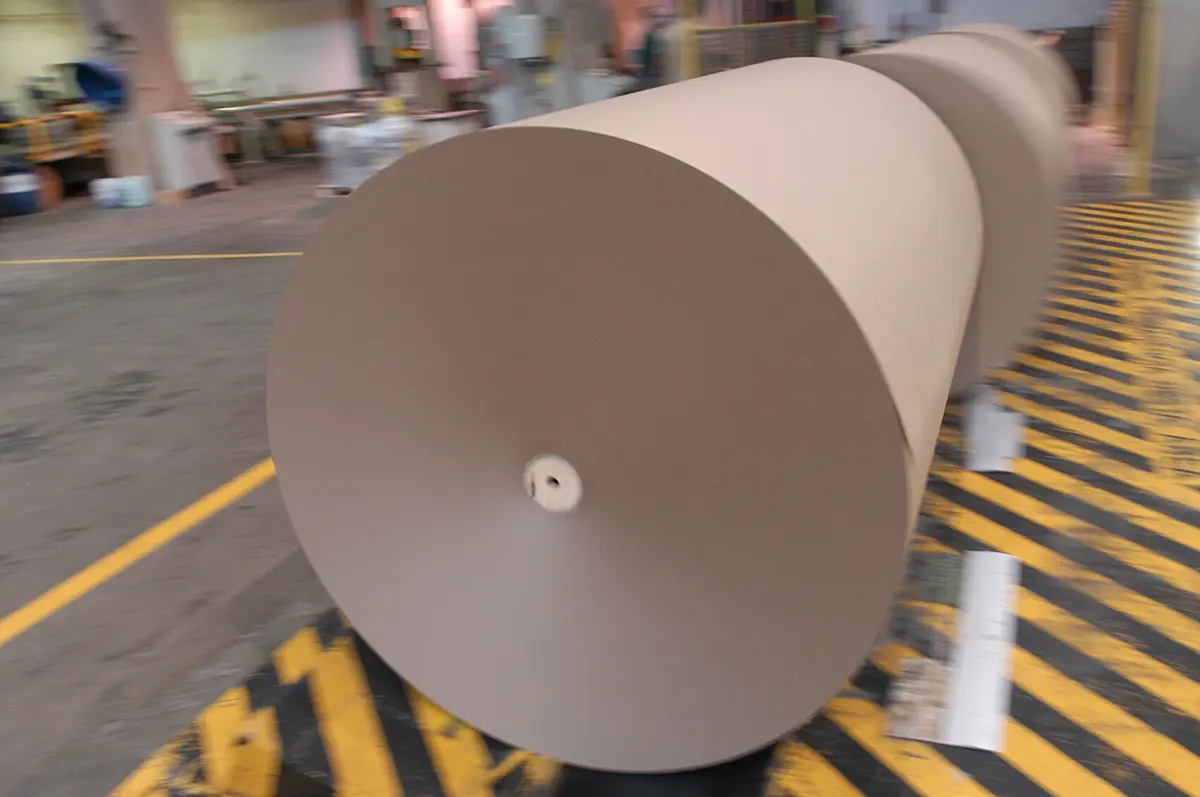 Empresa diz que se vê obrigada a importar centenas de milhões de euros em madeira que poderia ser produzida em Portugal